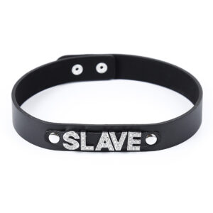 Collare "Slave" di VSC Novelty: Simbolo di Sottomissione e Eleganza