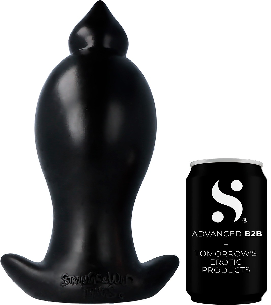 SW8 - immagine 5