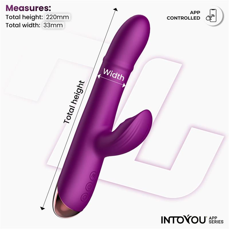 Into You - Sendel Vibe - Vibratore con Anello di Palline Interne Su e Giù e Pulsazione Clitoridea + APP - immagine 9