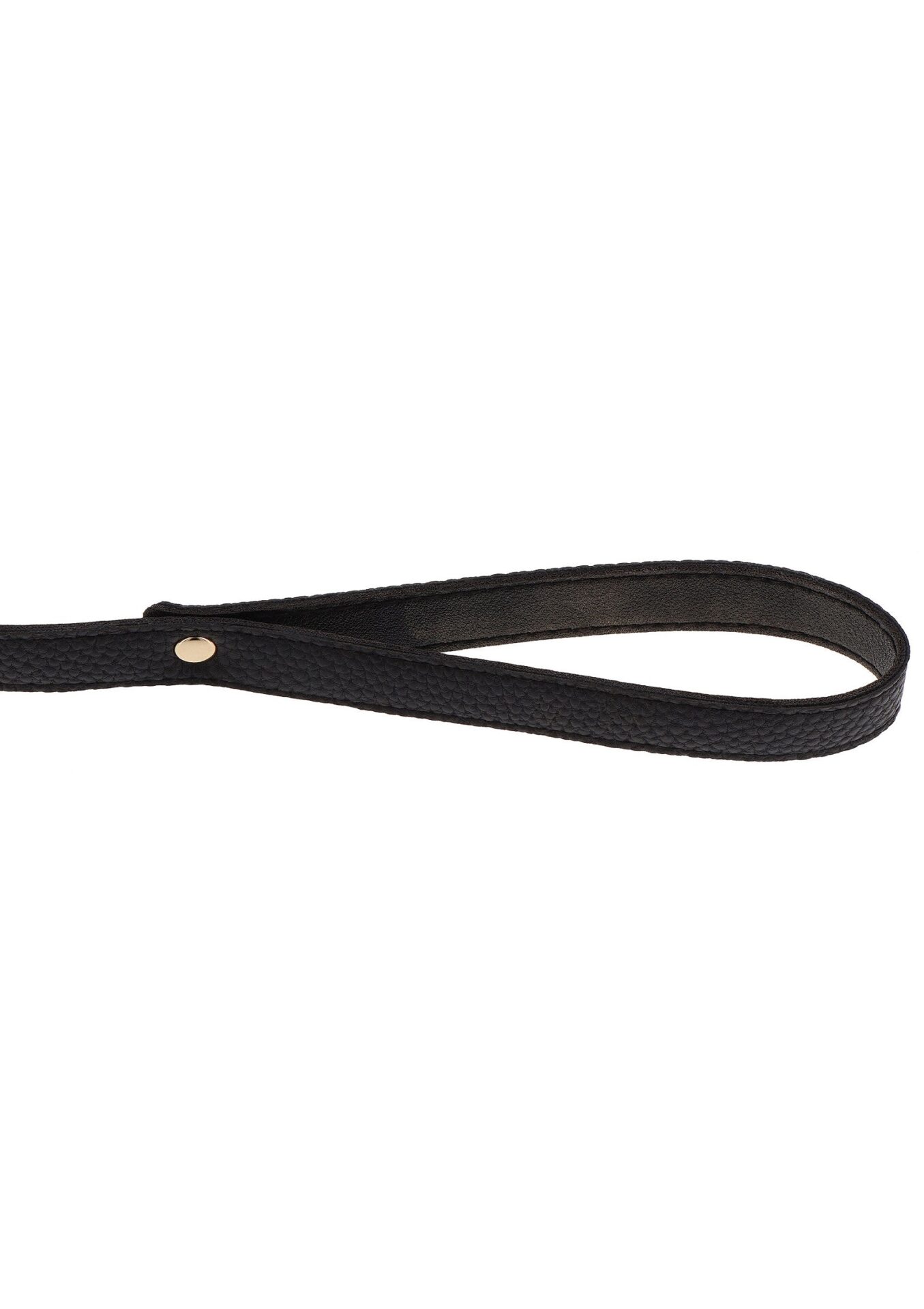 Collare e guinzaglio Statement color oro - immagine 5